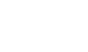 Andy James Voice Actor Fisher Investments Logo